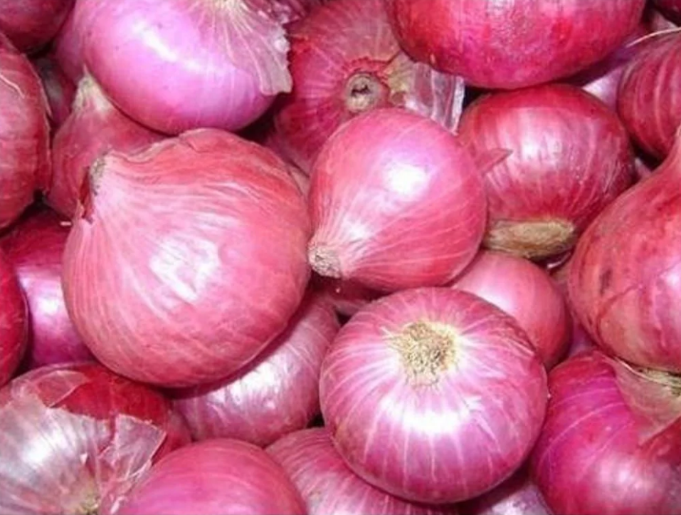 Onion